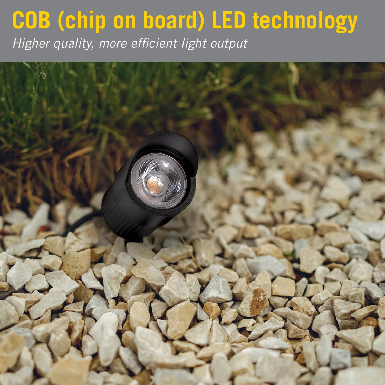 White LED Landscape Lights With Spike 2 White LED Landscape Lights With Spike - Image 2